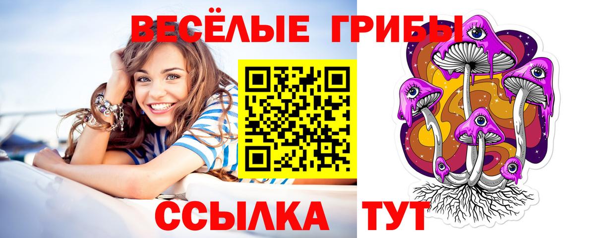 Псилоцибиновые грибы Cubensis  Вход с VPN  Галлюциногенные грибы Psilocybine cubensis  купить наркоту  Обнинск 